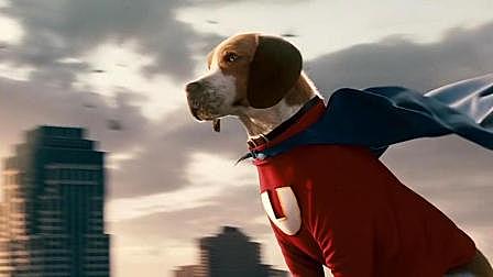流浪狗意外获得超能力, 变身超狗拯救世...