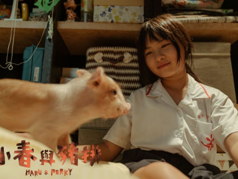 刘冠廷新片《小春与猪排》与王识贤撞脸！