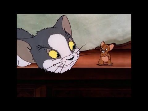 猫和老鼠