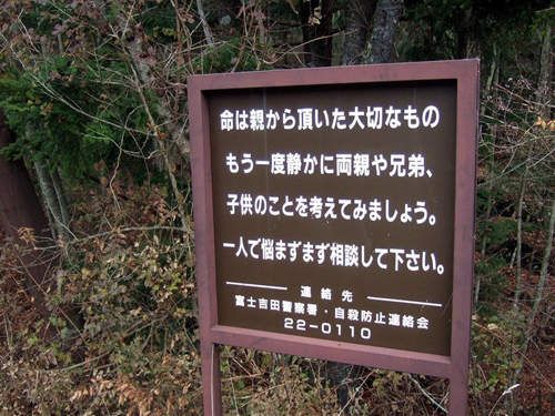树海村
